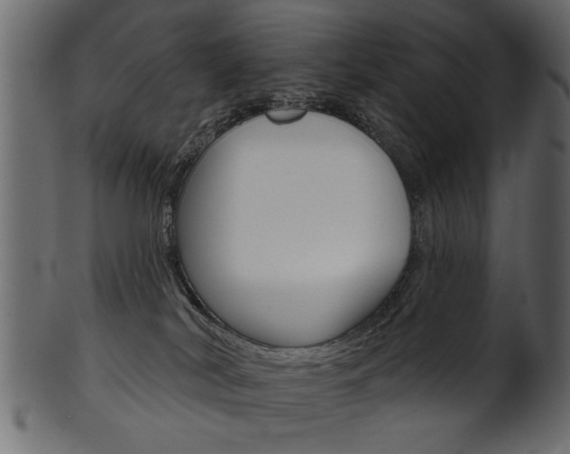X0000102020038200807180953