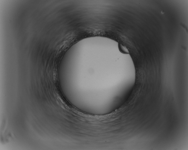 X0000102020039200807180953