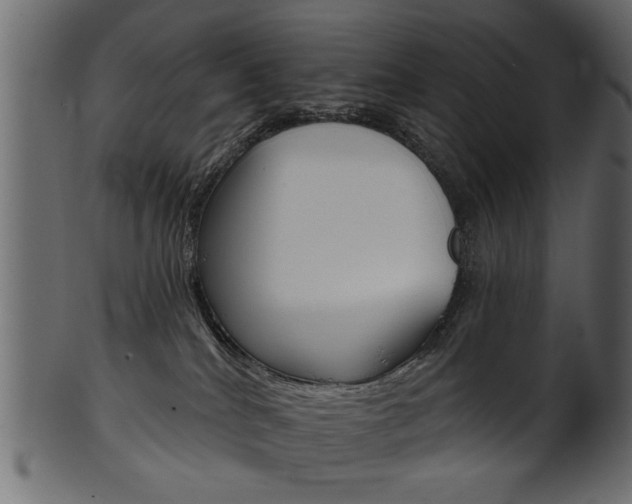 X0000102020040200807180953