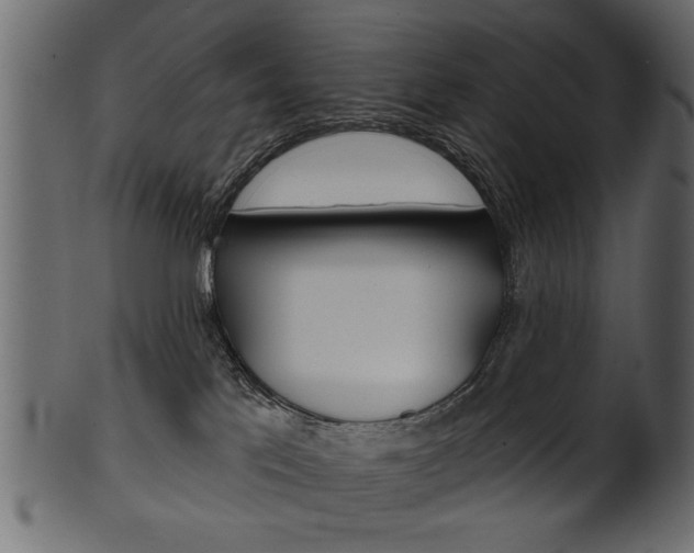 X0000102020041200807180953