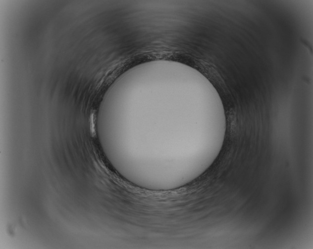 X0000102020042200807180953