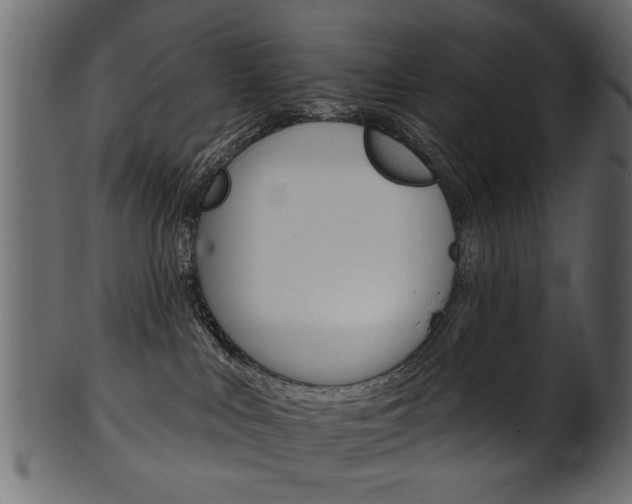 X0000102020043200807180953