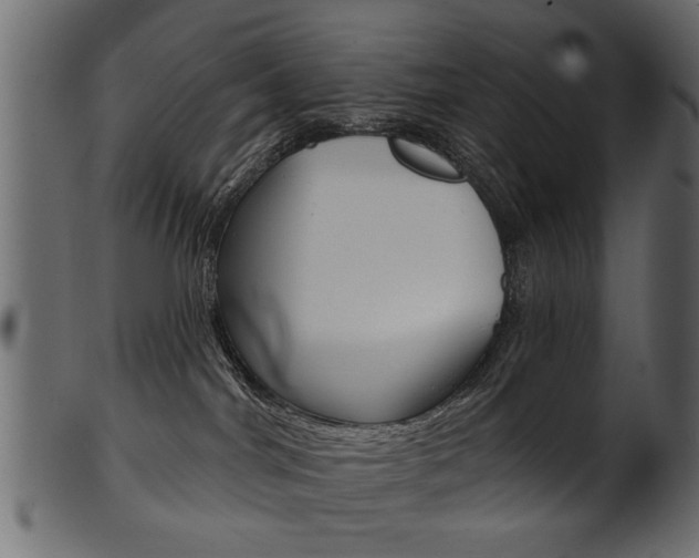 X0000102020044200807180953