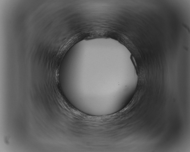 X0000102020045200807180953