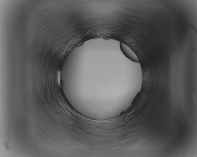 X0000102020046200807180953