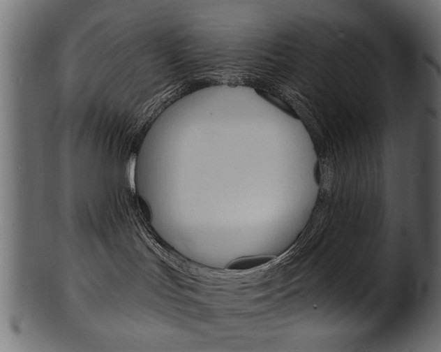 X0000102020047200807180953