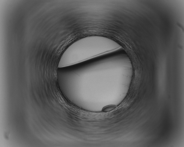 X0000102020048200807180953