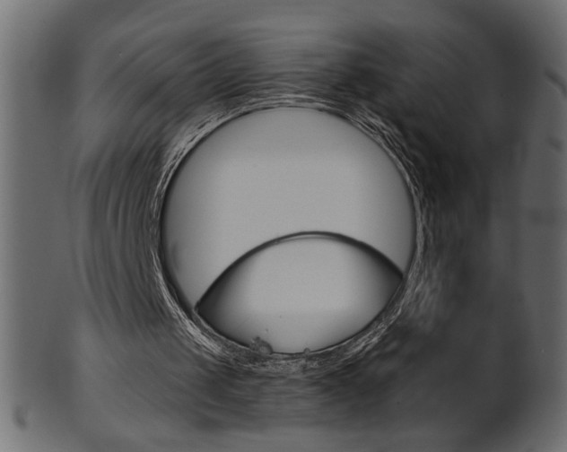 X0000102020049200807180952