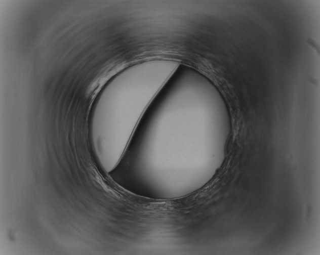 X0000102020050200807180952