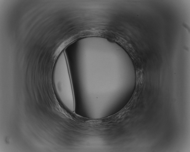 X0000102020051200807180952