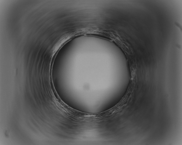 X0000102020052200807180952