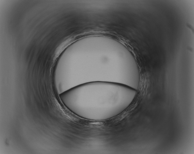 X0000102020053200807180952
