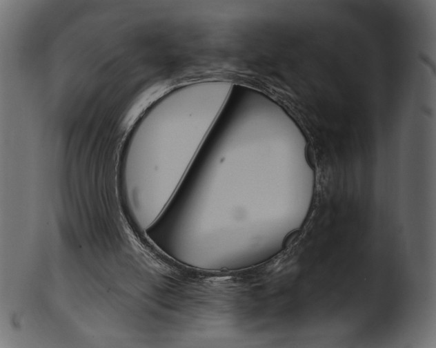 X0000102020054200807180952