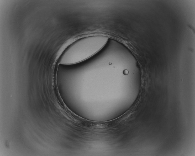 X0000102020056200807180953