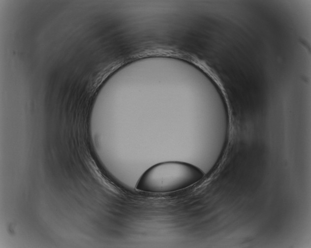 X0000102020057200807180953