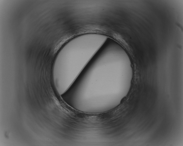 X0000102020058200807180953
