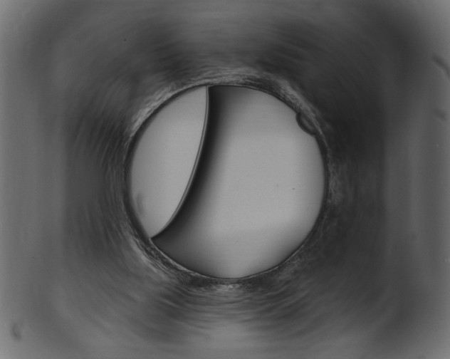 X0000102020059200807180953