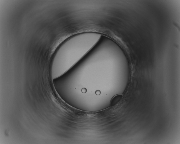 X0000102020060200807180953