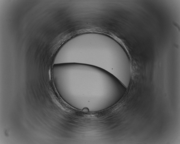 X0000102020061200807180953