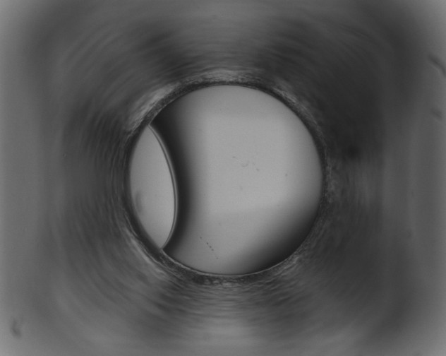 X0000102020062200807180953