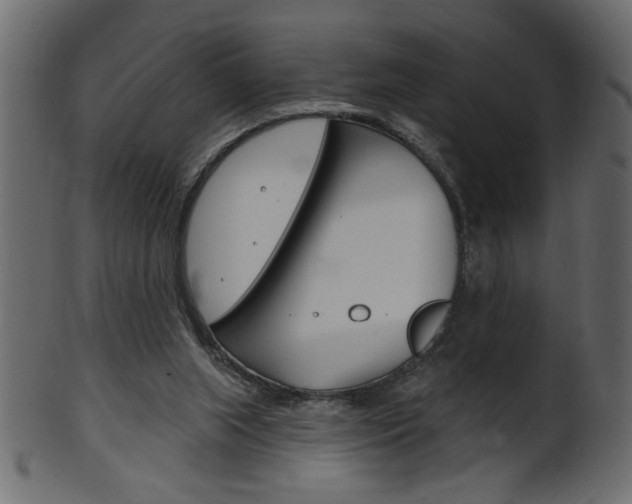 X0000102020063200807180953