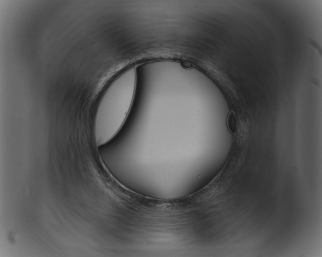 X0000102020064200807180953