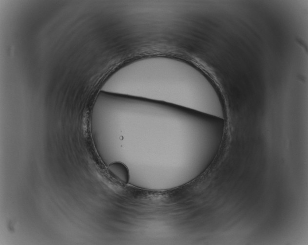 X0000102020065200807180953