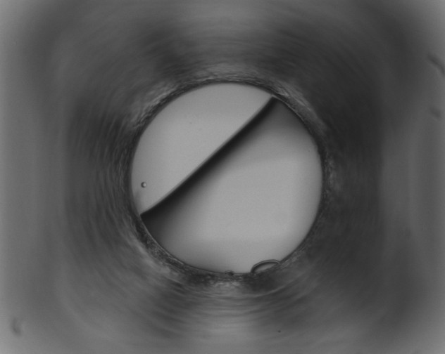 X0000102020066200807180953