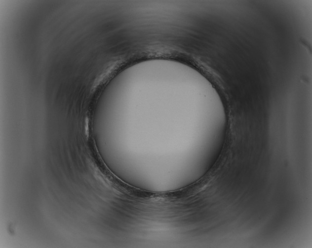 X0000102020067200807180953