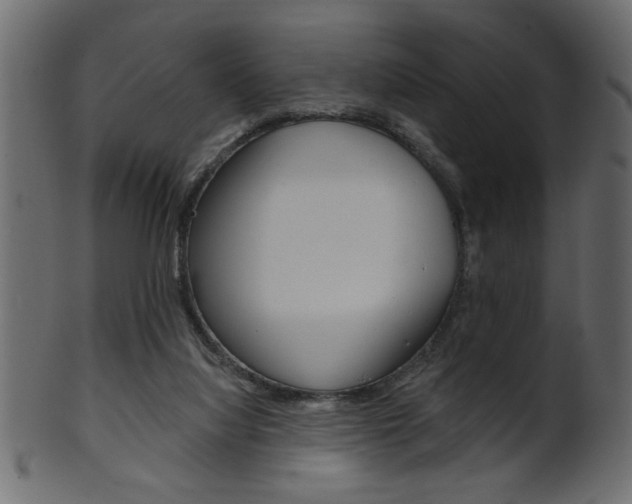 X0000102020068200807180953