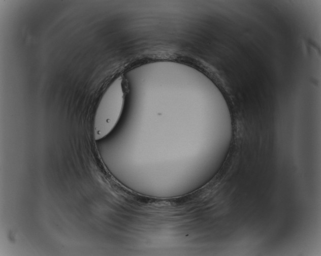 X0000102020069200807180953