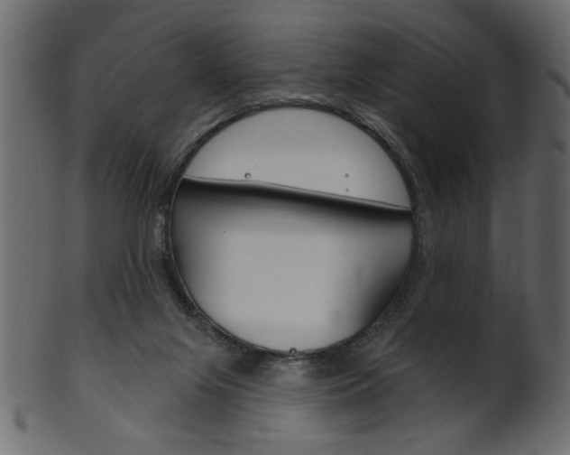 X0000102020071200807180953