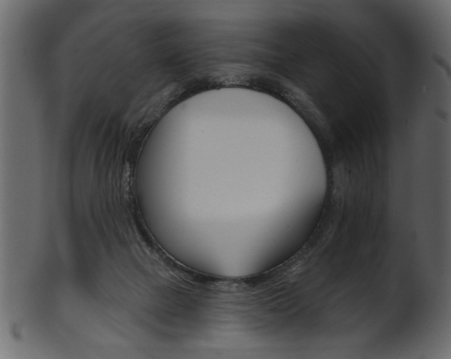 X0000102020073200807180953