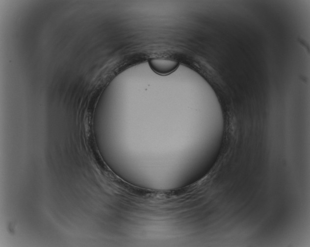 X0000102020074200807180953