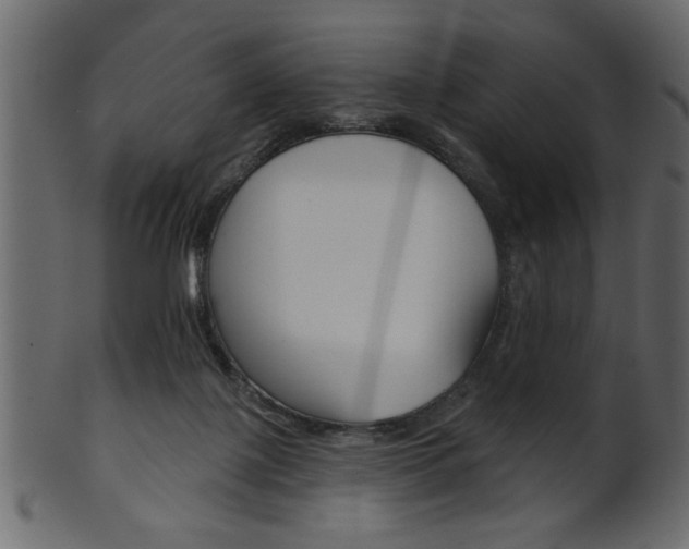 X0000102020075200807180953