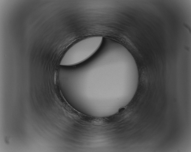 X0000102020076200807180953