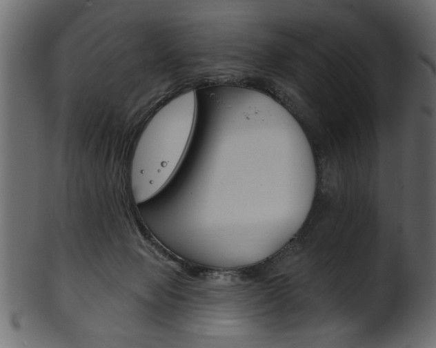 X0000102020077200807180953