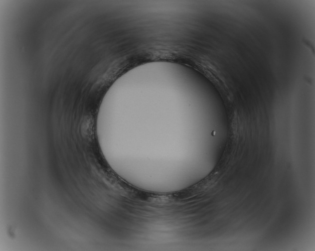 X0000102020079200807180953