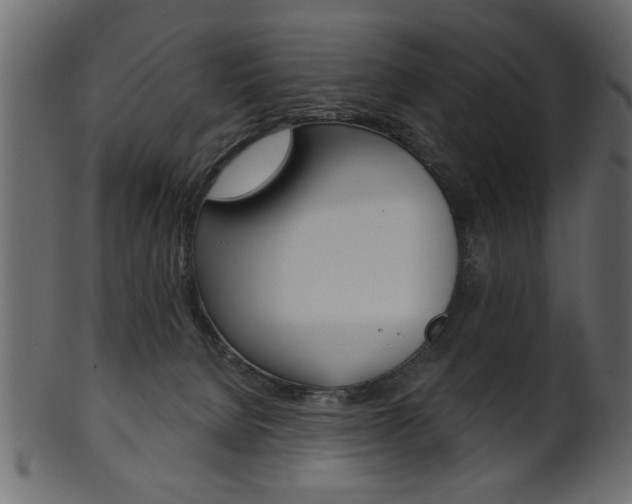 X0000102020080200807180953