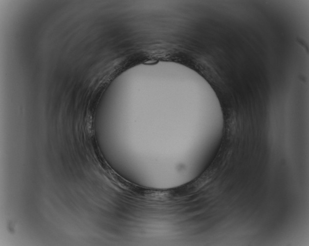 X0000102020081200807180953