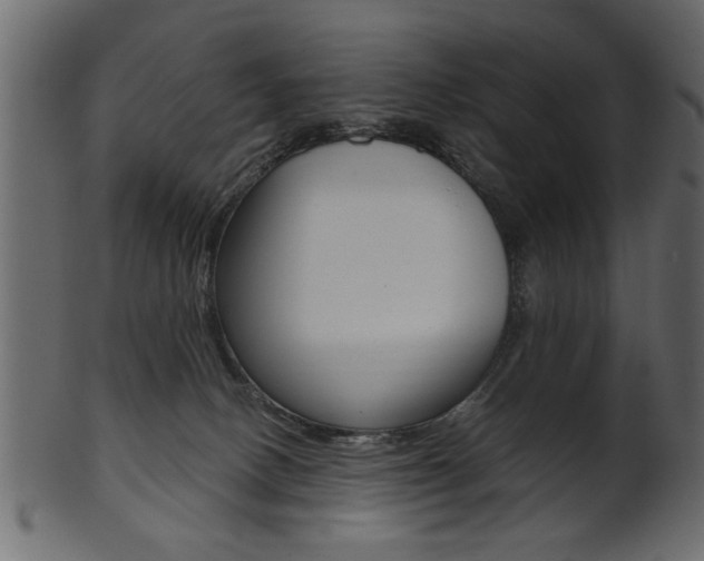 X0000102020082200807180953
