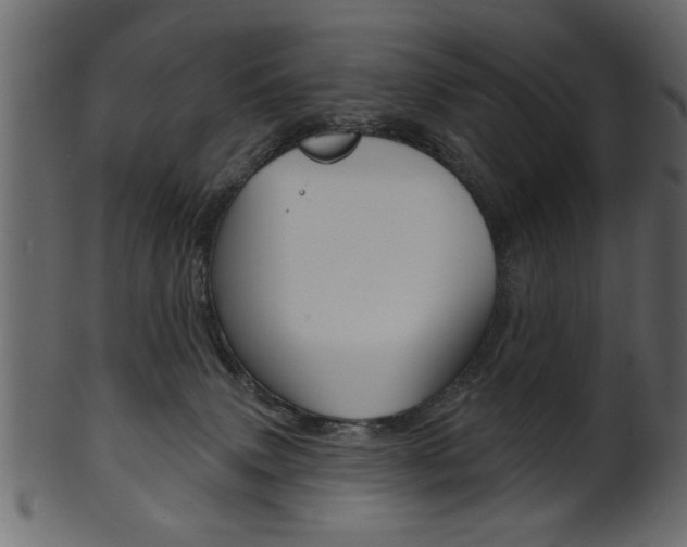 X0000102020083200807180953