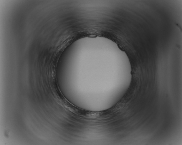 X0000102020084200807180953