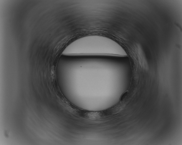 X0000102020085200807180953