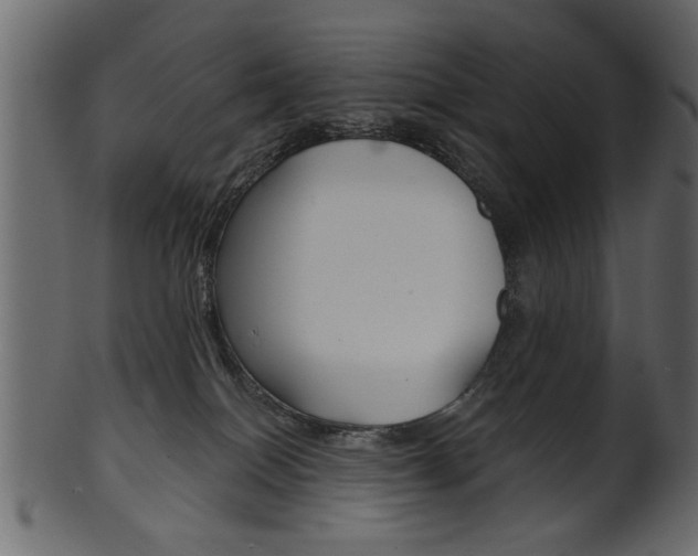 X0000102020086200807180953