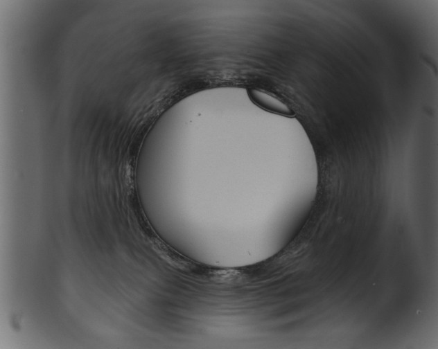 X0000102020087200807180953