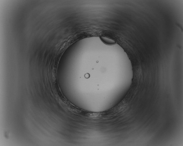 X0000102020088200807180953