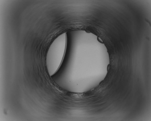 X0000102020089200807180953