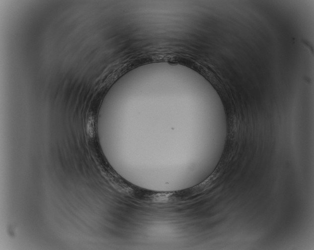 X0000102020090200807180953