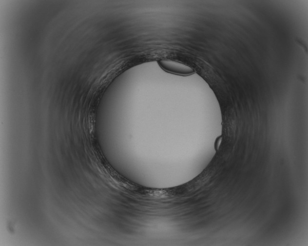 X0000102020091200807180953